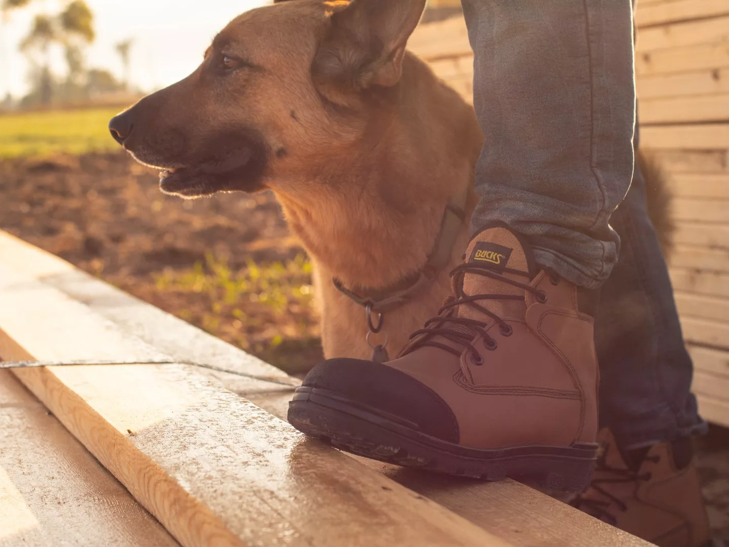 A dog and a mans foot wearing a bucks puritan boot